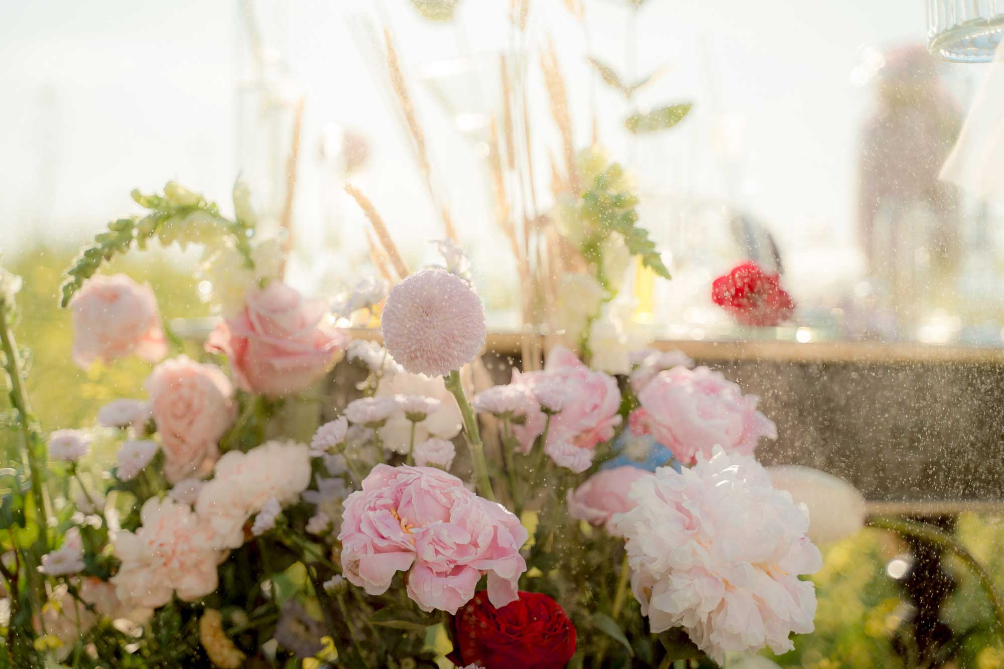 Exploring sustainable and ethical perfume choices