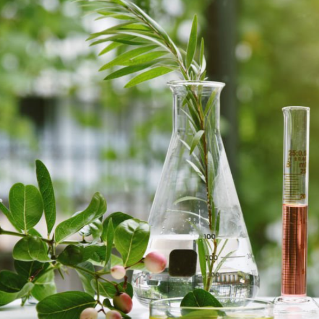 Perfume Workshop-Best activity in Vancouver