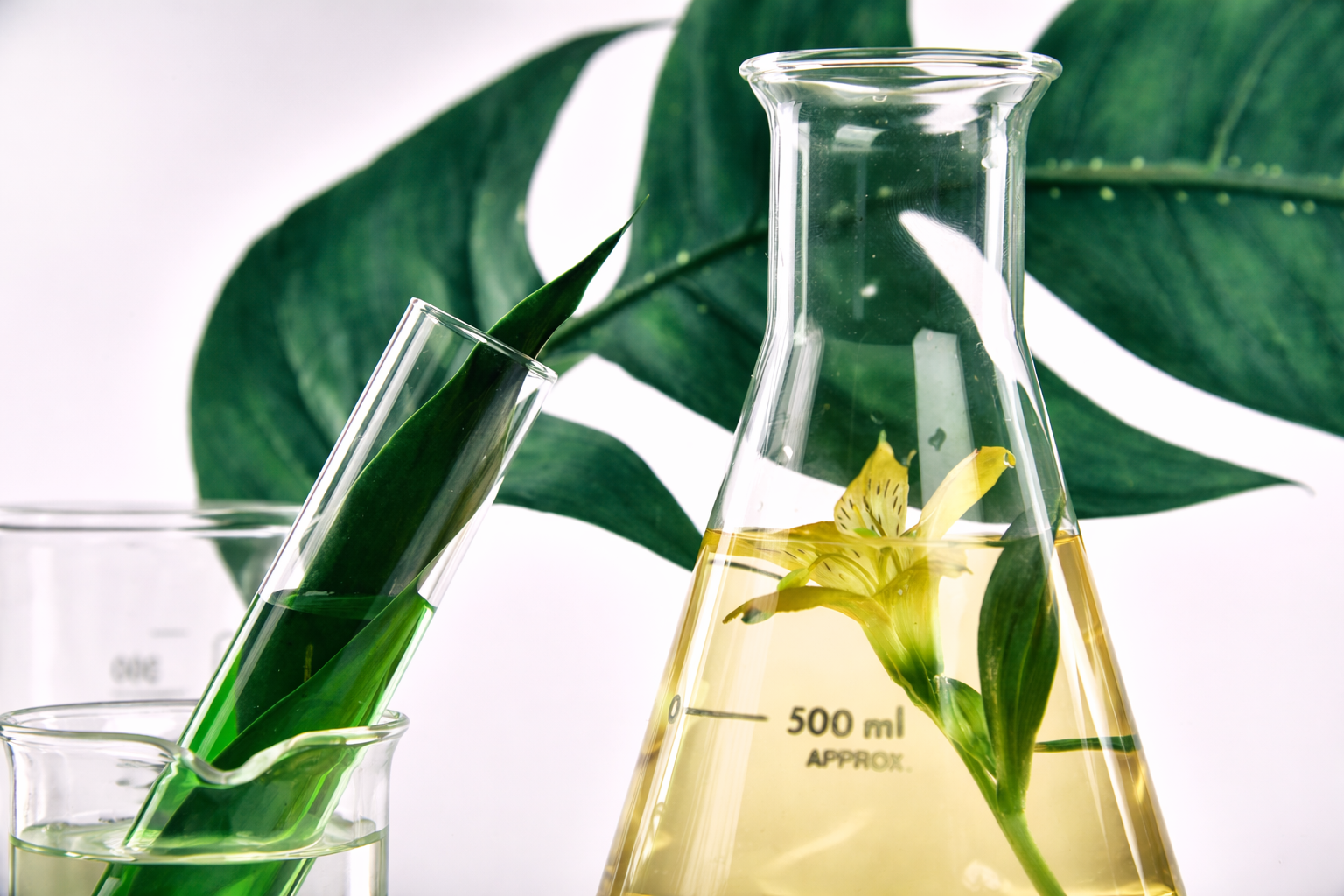 Perfume Workshop-Best activity in Vancouver