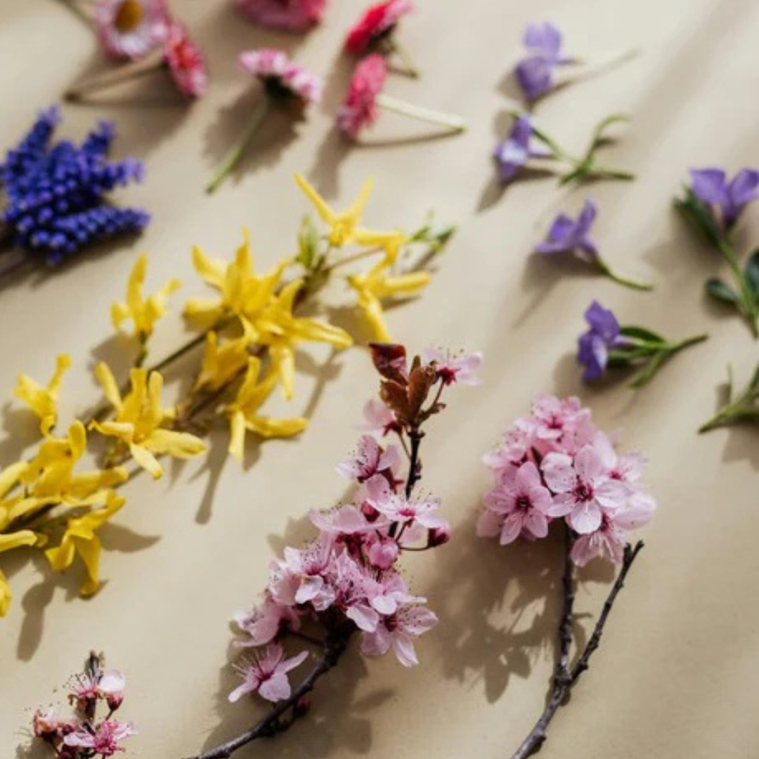 Perfume Workshop-Best activity in Vancouver